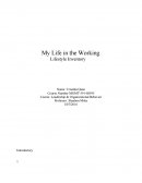 Lsi - My Life in the Working
