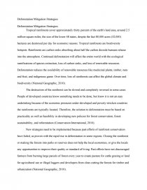 Реферат: Rainforest Destruction Essay Research Paper name