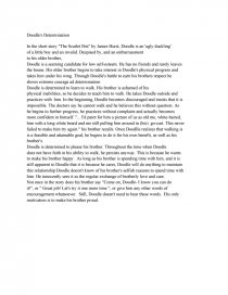 the scarlet ibis essay