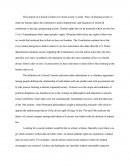 Social Contract Essay