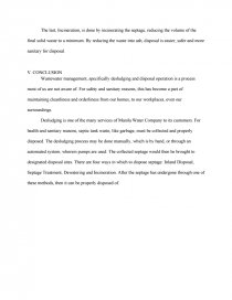 Literature Essay Sample How To Write A Literature Essay also Controversial Essay Topics For Research Paper Waste Management In The Philippines Water System Book Report Bibliography Essay