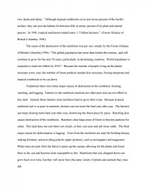 rainforest essay