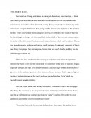 Entrance Essay