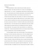 Rainforest & Zoo Research Paper