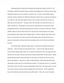 Kierkegaards Stages Of Life