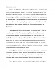 paleolithic and neolithic essay
