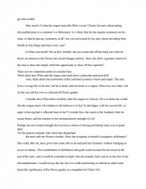 the chrysanthemums essay