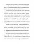 Censor Pornography On The Internet?