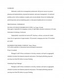 Professional Resume