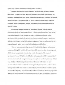 essay on socio economic status