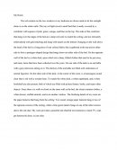 The Importance Of Fungi