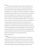 Bonobos And Chimps