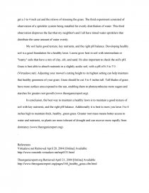 scientific method essay