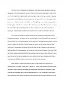 The War In Afganhansitan
