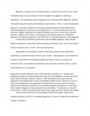 Plagiarism