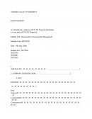 A Contemporary Analysis Of Ntl Plc Financial Statements