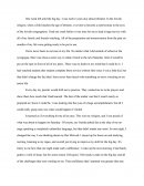 Essay 1