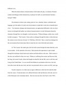 Literary Analysis Essay