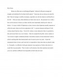 Hero Essay