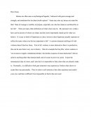 Hero Essay