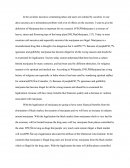 The Social Benefits Of Legalization Of Marijuana