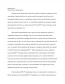 Interpretivism