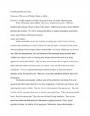 Classification Division Essay