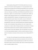 The Narrative Techniques And Style Of The Language In Hemingway's The Old Man And The Sea