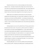 English Narritive Essay