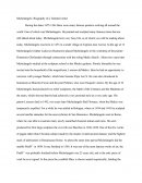 Michelangleo: Biography Of A Talented Artist
