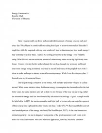 energy conservation essay