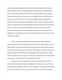 Animal Intelligence Research Paper