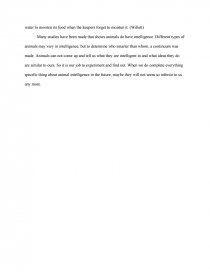 Animal Intelligence Research Paper