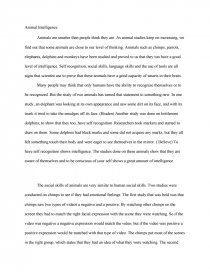 Animal Intelligence Research Paper