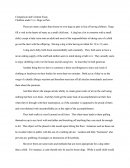 Comparison And Contrast Essay