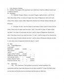 Reaction Of Metals Lab