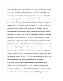 sea turtle essay