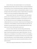Essay