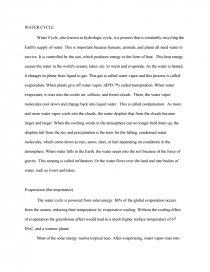 water cycle essay