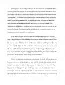 The Effects Of Steroid Use By Adolescents
