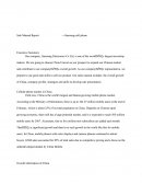 Sale Manual Report-Samsung Cellphone