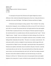 Pro And Con Essay Langston Hughes And Emily Dickinson Essays Zoom Zoom Zoom Essay On Self Introduction also The Yellow Wallpaper Essay Topics Langston Hughes Essay As I Grew Older By Langston Hughes Poem Poem Long Term Career Goals Essay
