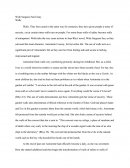 Wide Sargasso Sea Motif Walls Essay