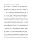Short Story Essay