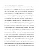Short Story Essay