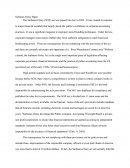 Sarbanes-Oxley Paper
