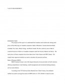 Marketing Report