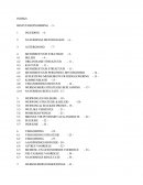 Hr Management In Private Company