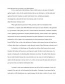 Criminal Justice Opinion Portfolio
