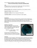 Science Investigation- Changing Temperatures